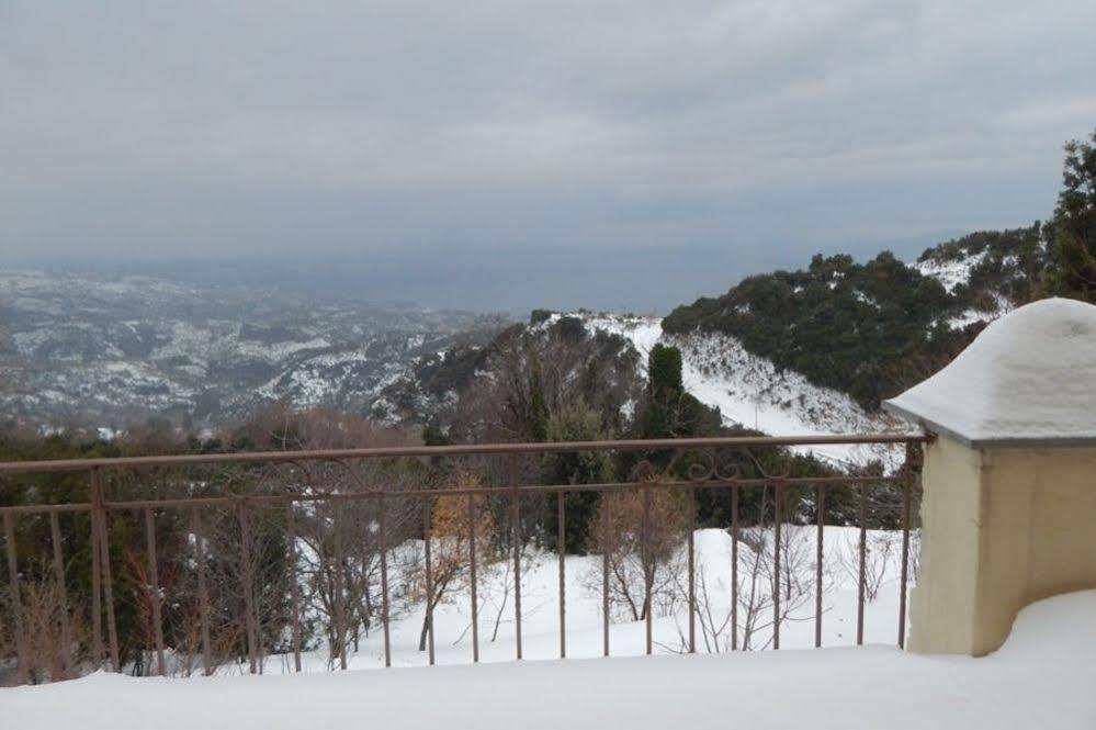维兹伊萨 拉斯托尼旅馆酒店 外观 照片